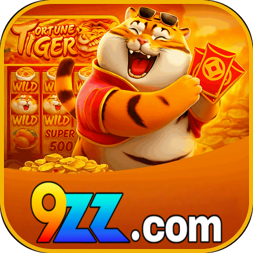 9zz logo